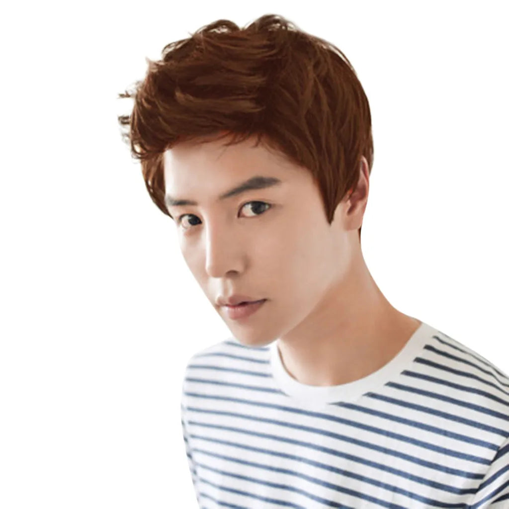 Short Men Wigs for Straight Synthetic Layer Hair For Man Male Guy Daily Cosplay Party Anime Costume Male Wigs