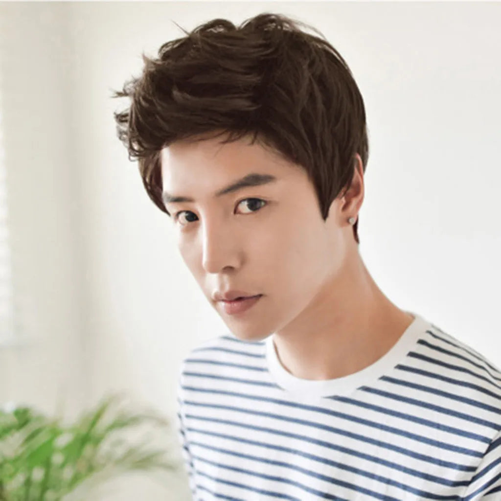 Short Men Wigs for Straight Synthetic Layer Hair For Man Male Guy Daily Cosplay Party Anime Costume Male Wigs