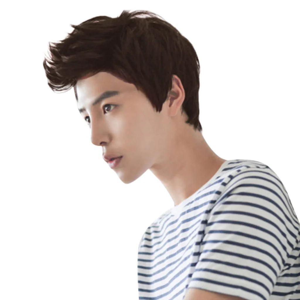 Short Men Wigs for Straight Synthetic Layer Hair For Man Male Guy Daily Cosplay Party Anime Costume Male Wigs