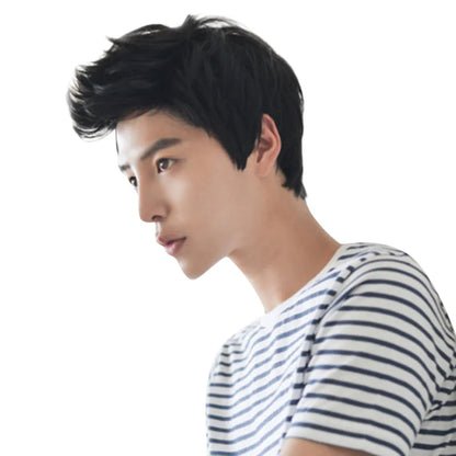 Short Men Wigs for Straight Synthetic Layer Hair For Man Male Guy Daily Cosplay Party Anime Costume Male Wigs