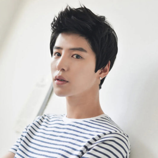 Short Men Wigs for Straight Synthetic Layer Hair For Man Male Guy Daily Cosplay Party Anime Costume Male Wigs