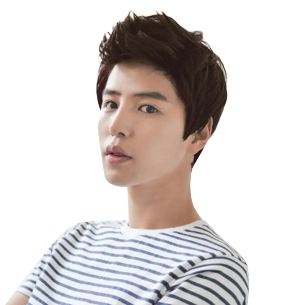 Short Men Wigs for Straight Synthetic Layer Hair For Man Male Guy Daily Cosplay Party Anime Costume Male Wigs