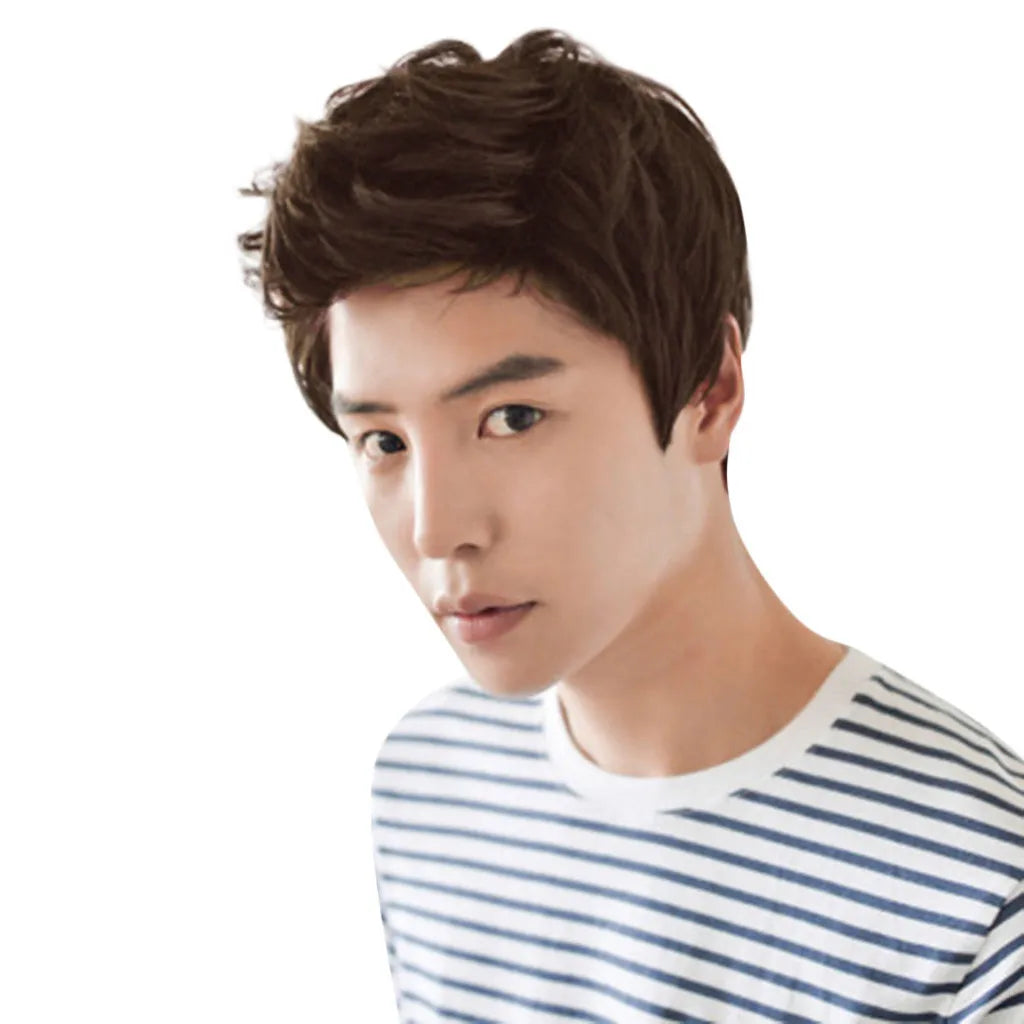 Short Men Wigs for Straight Synthetic Layer Hair For Man Male Guy Daily Cosplay Party Anime Costume Male Wigs