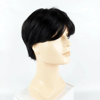 Fashion Men Synthetic Black Short Wig With Middle Parted Bang DIY Styling Wig for Men Daily Wear Toupee Hairpieces Straight Hair
